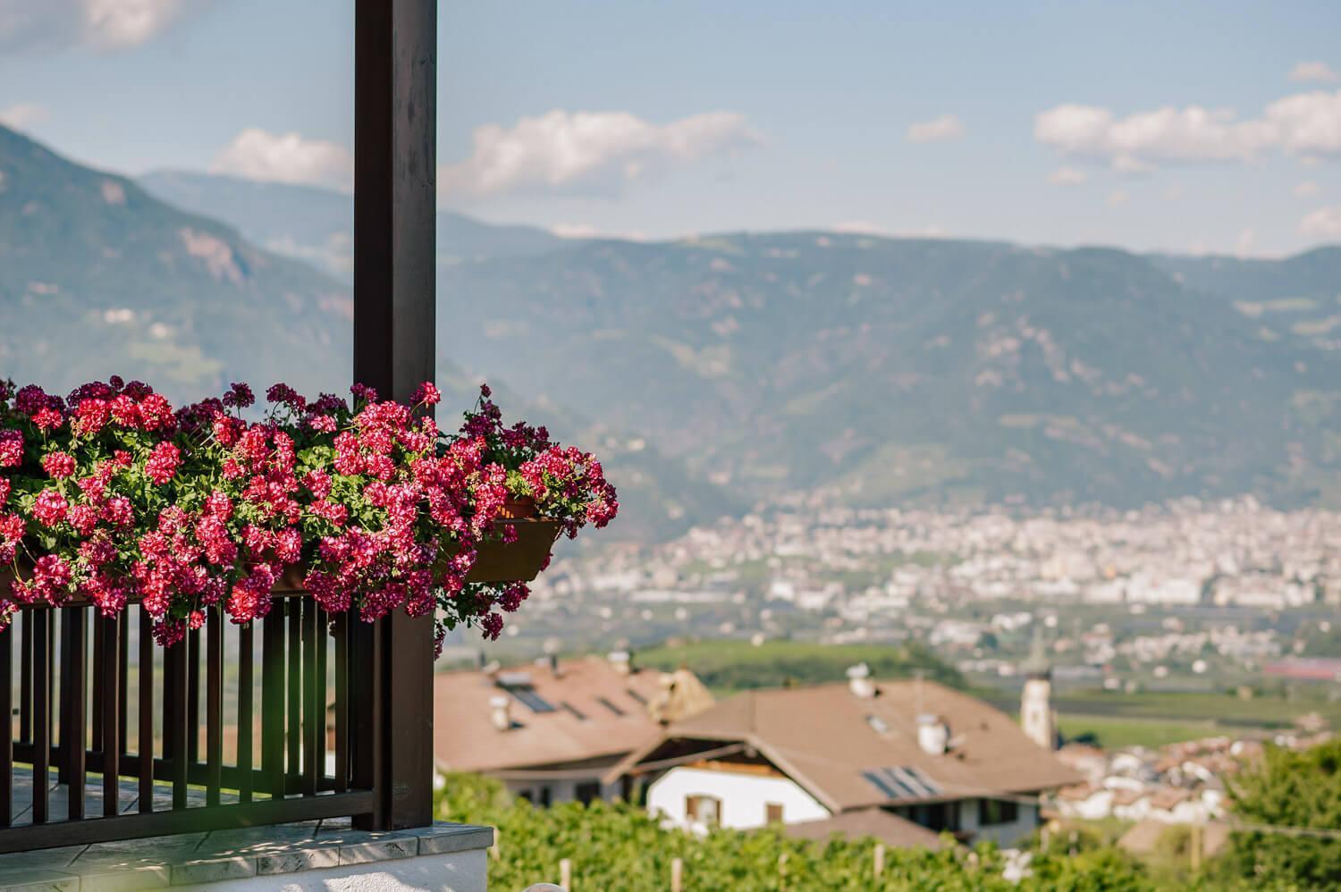 Strahlerhof Apartment Appiano Sulla Strada Del Vino Exterior photo